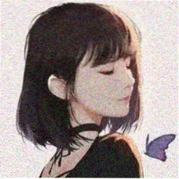 读者青岚头像